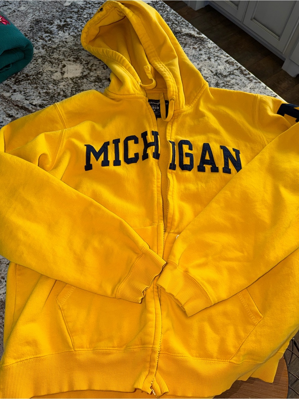 Michigan zip up hoodie champion size large